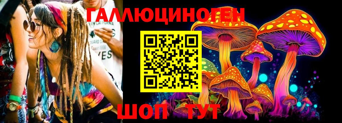 Псилоцибиновые грибы Cubensis  Вход с VPN  Великие Луки 