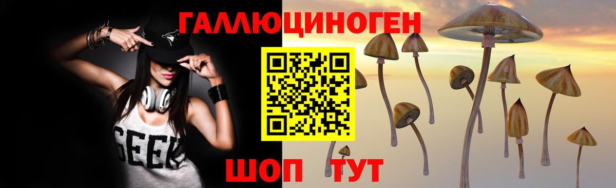 Псилоцибиновые грибы Cubensis Великие Луки